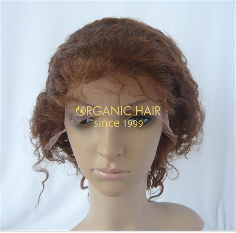 Organic human hair cheap lace front wigs